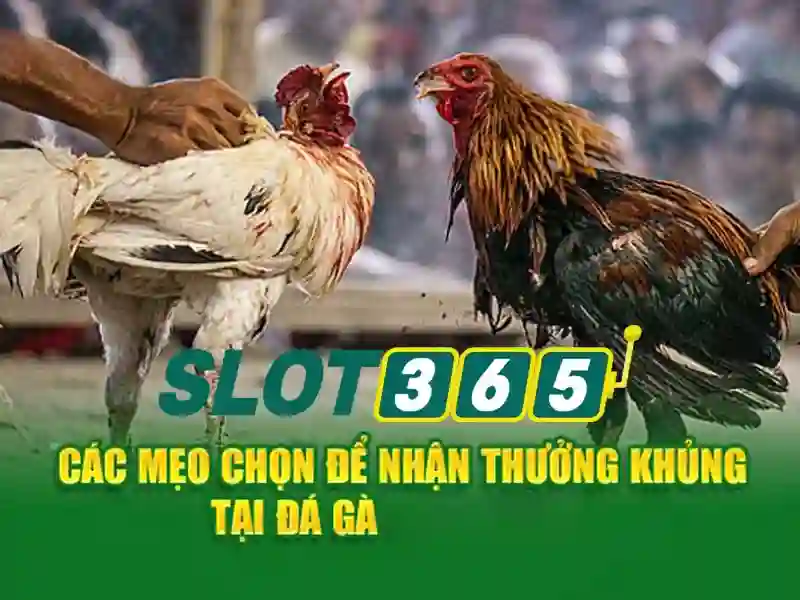 Slot365: Khai phá thế giới slot trực tuyến