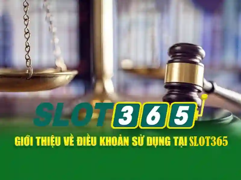 Hoạt động và dịch vụ khách hàng