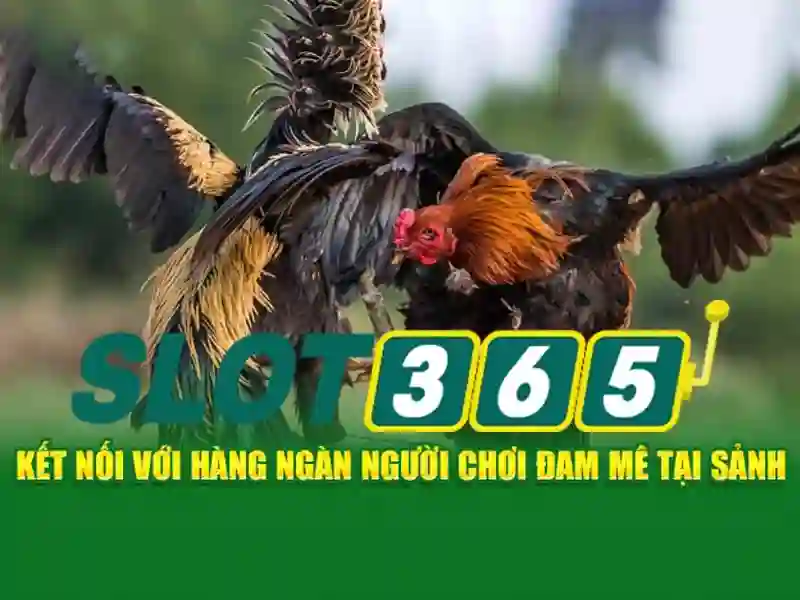 Trải nghiệm người dùng và hỗ trợ khách hàng