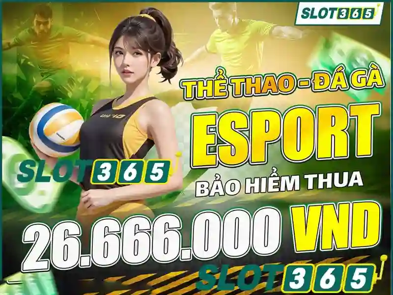 Cach hoat dong cua Slot365 voi cac nha cung cap