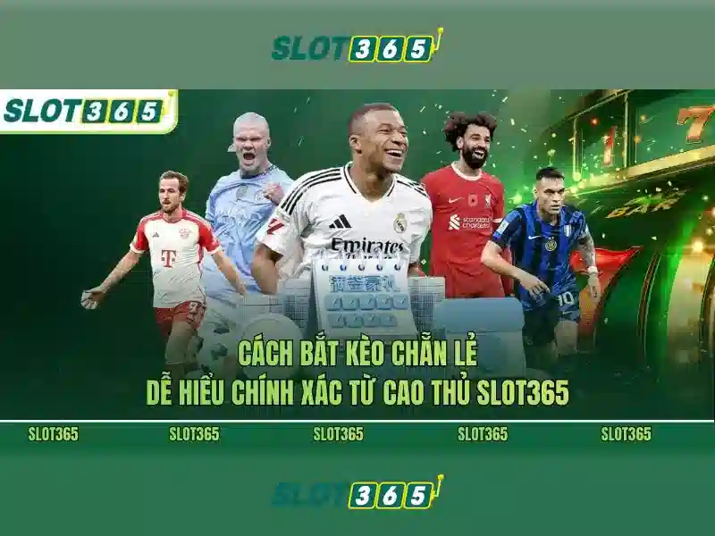 Slot365 la noi choi khe cay truc tuyen