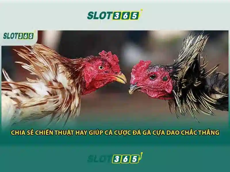 Slot365 - Nền tảng slot trực tuyến