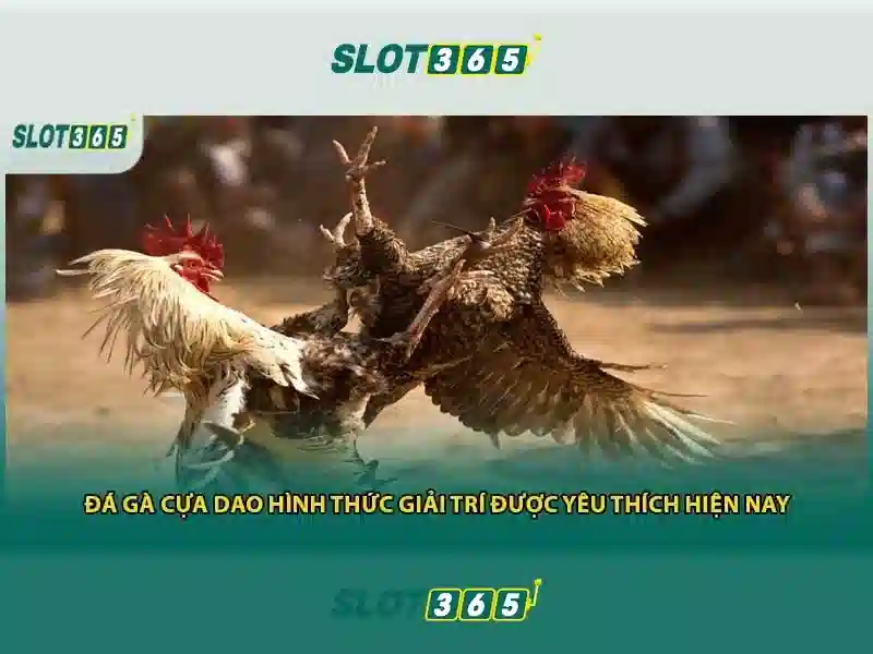 Slot365 — Nền tảng casino trực tuyến phổ biến ở Việt Nam