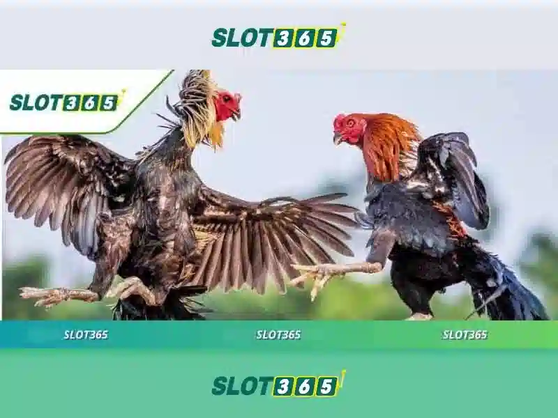 Slot365: Tổng quan, an toàn và trải nghiệm chơi trực tuyến