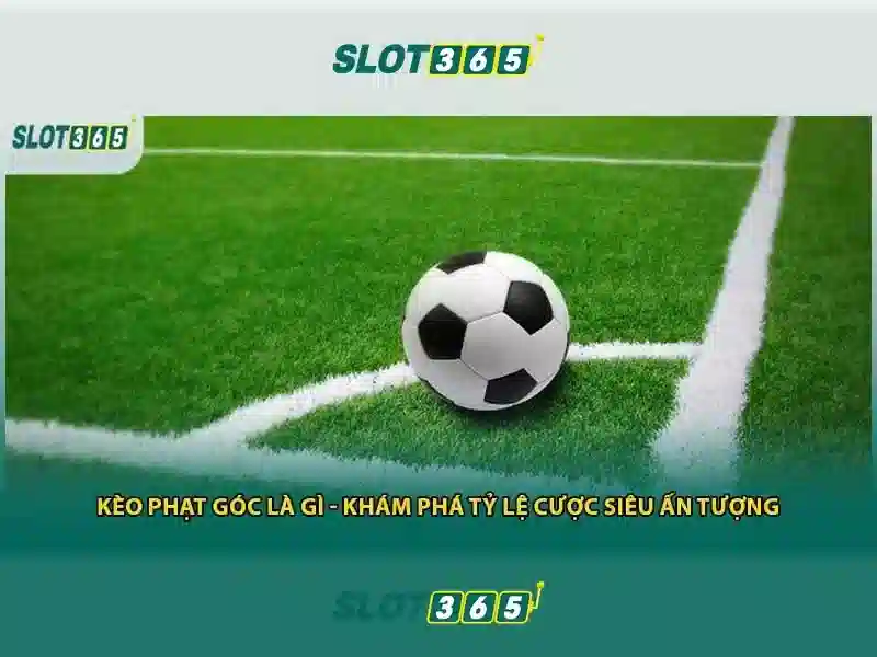 Slot365 - Nền tảng đánh bạc trực tuyến hàng đầu