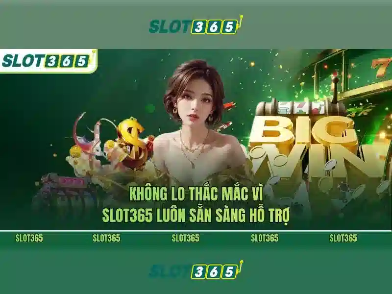 Khuyến mãi và chương trình thưởng