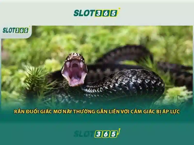 Slot365 — Nền tảng slot hàng đầu cho trải nghiệm trực tuyến
