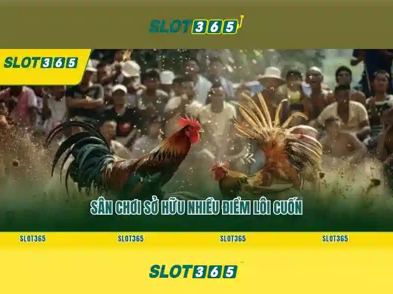 Slot365 – Nền tảng casino trực tuyến hàng đầu cho người chơi Việt