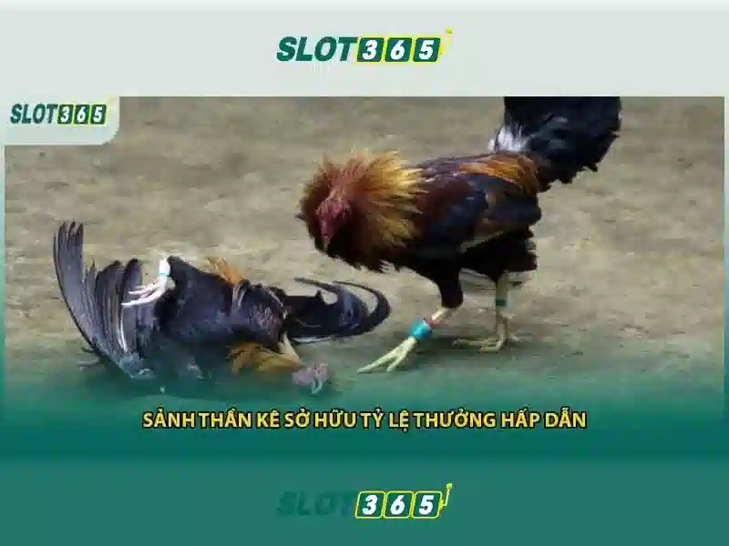 Slot365: Trải nghiệm slot trực tuyến an toàn và thú vị