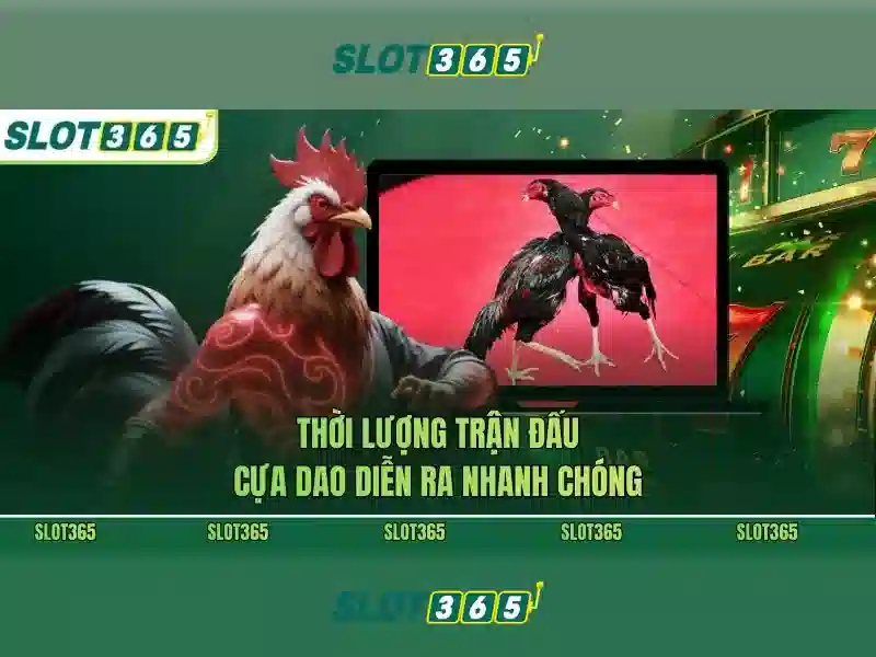 Slot365 - Trải nghiệm máy xè số đỉnh cao trực tuyến