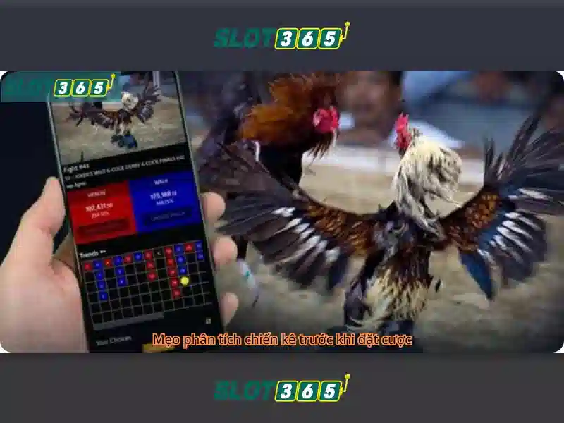 Slot365: Đánh giá, hướng dẫn và trải nghiệm chơi
