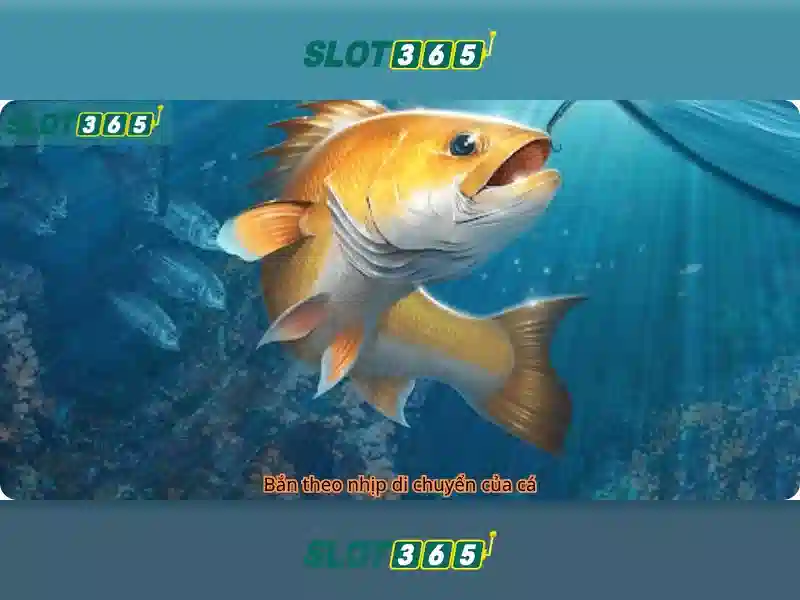 Slot365 là gì?