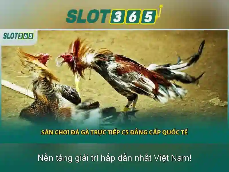 Slot365: Trải nghiệm slot trực tuyến an toàn và đẳng cấp