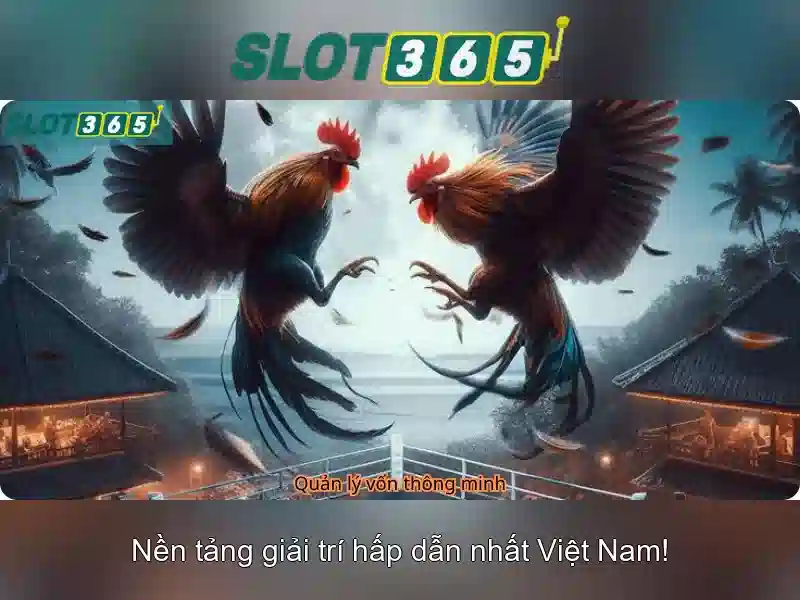 Slot365 - Nền tảng máy slot trực tuyến hàng đầu tại Việt Nam