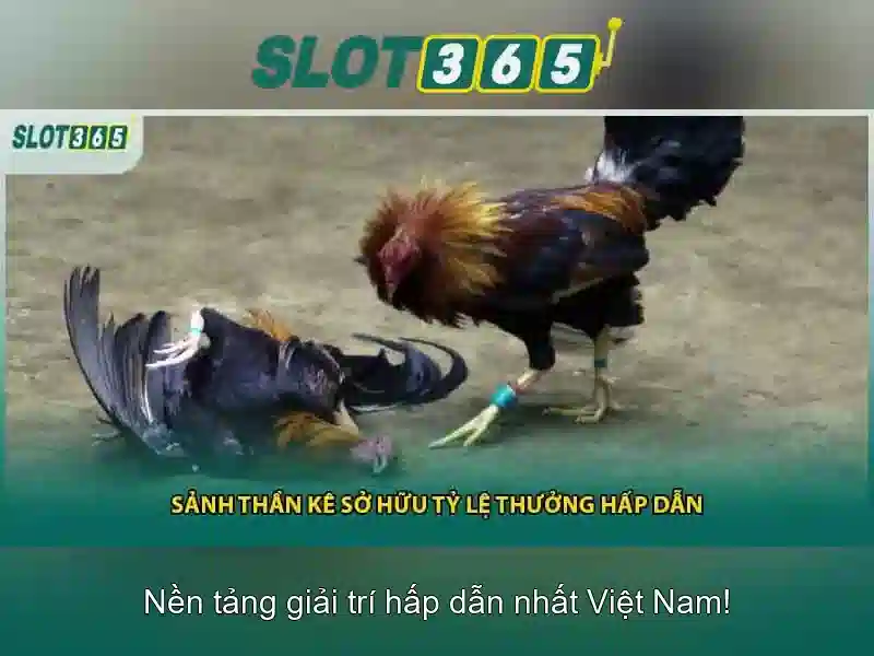 Slot365 - Trải nghiệm chơi slot đỉnh cao