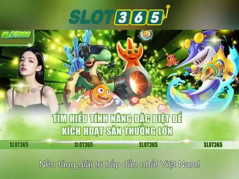 Trải nghiệm người dùng và giao diện