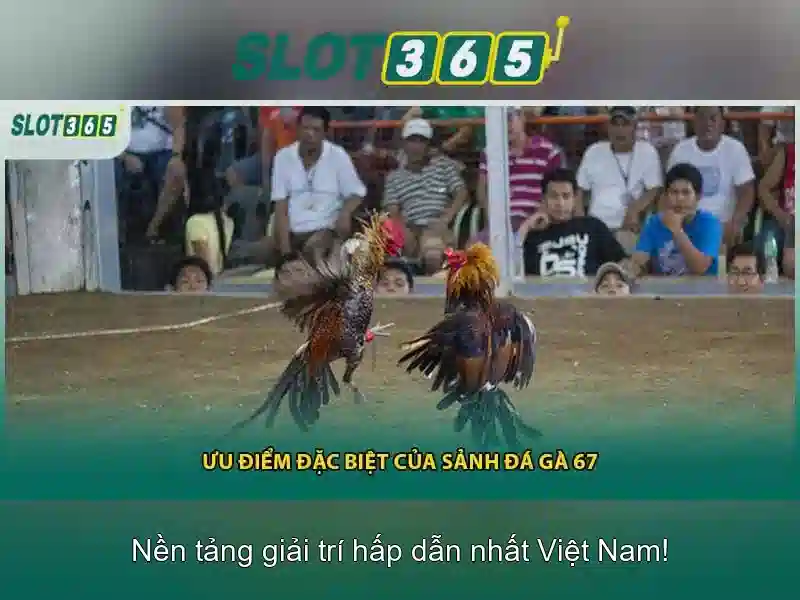Đa dạng trò chơi và tỷ lệ thanh toán