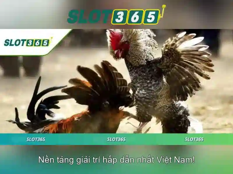 Lựa chọn thanh toán an toàn