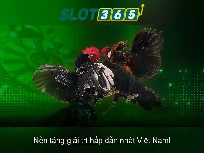 Slot365 – Đánh giá, hướng dẫn và trải nghiệm casino trực tuyến