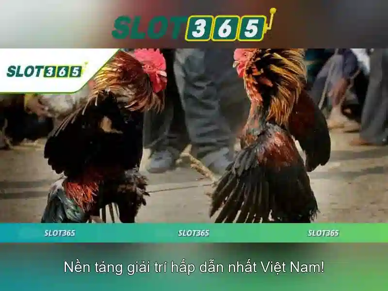 An toàn và bảo mật