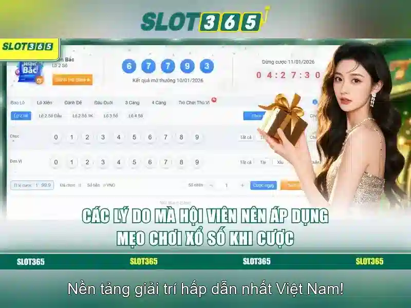 Slot365 - Tổng quan về nền tảng slot trực tuyến