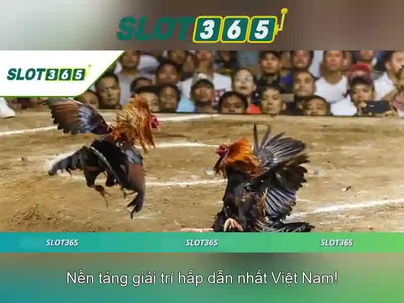 Slot365: Trò chơi slot trực tuyến phổ biến