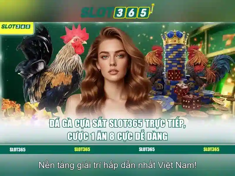 Trải nghiệm người dùng và giao diện