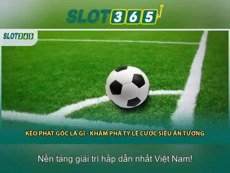 Các tính năng nổi bật