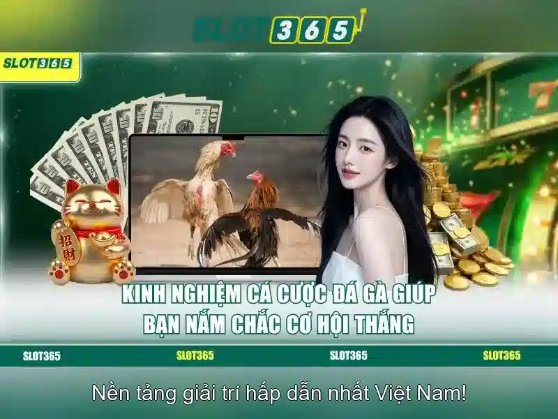 Slot365 – Nền tảng chơi slot và xổ số trực tuyến tin cậy