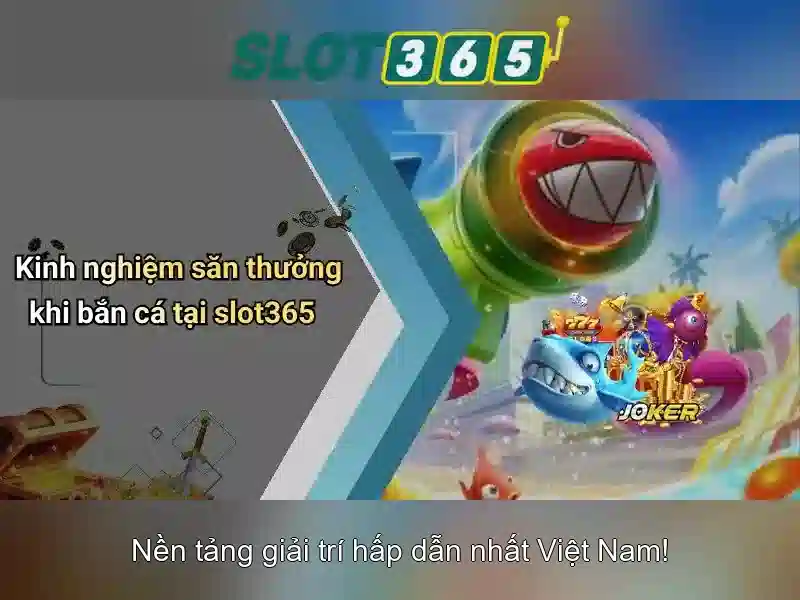 Giao diện và trải nghiệm người dùng