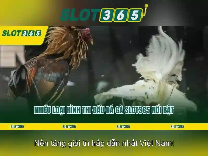 An toàn, công bằng và phục vụ khách hàng
