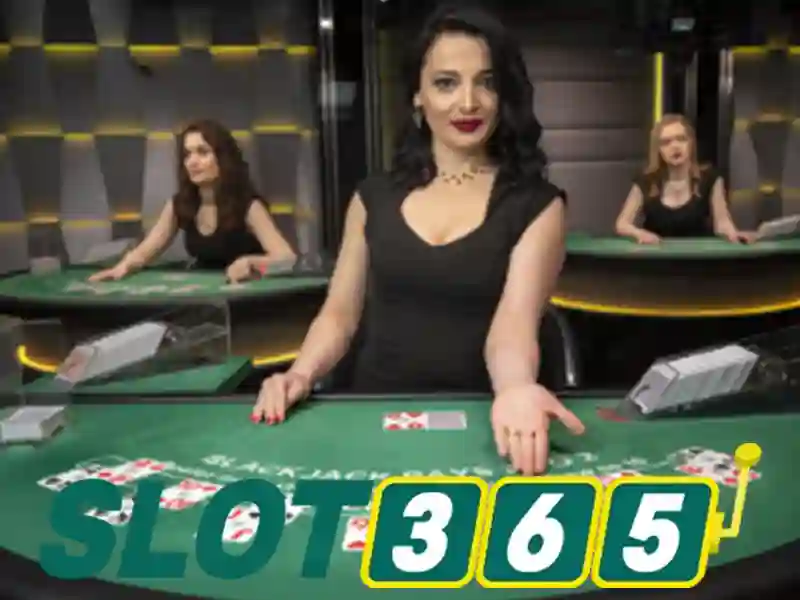 Slot365 – Nền tảng xèng trực tuyến