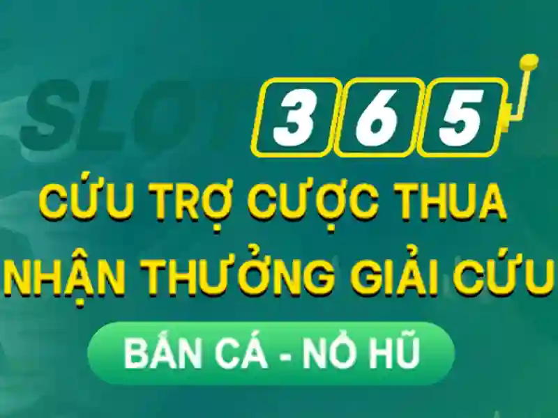 Giao diện và trải nghiệm người dùng